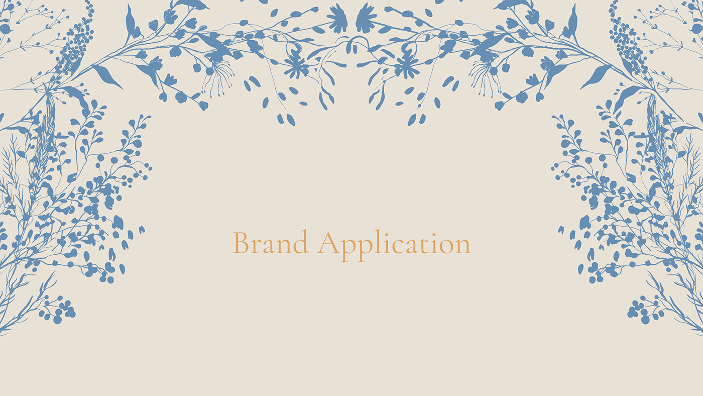 brand identity branding  Website visual identity Logo Design Packaging photoshoot strategy Social media post graphic design 