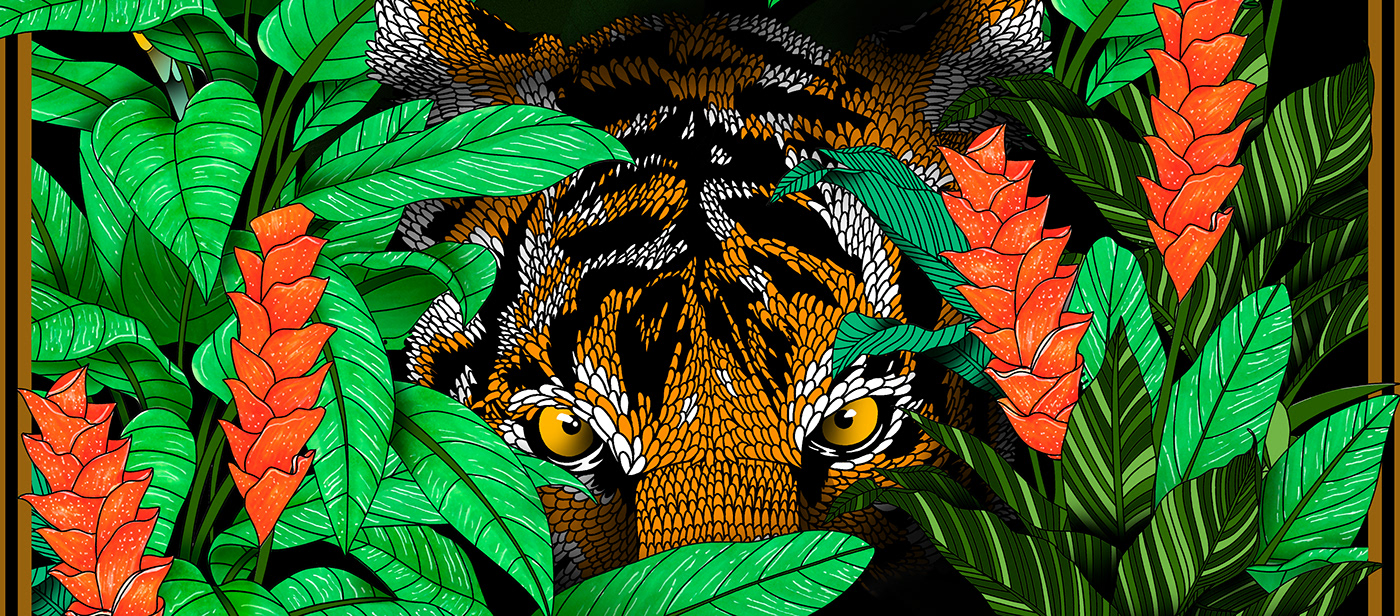 ILLUSTRATION  surface design textile design  tiger