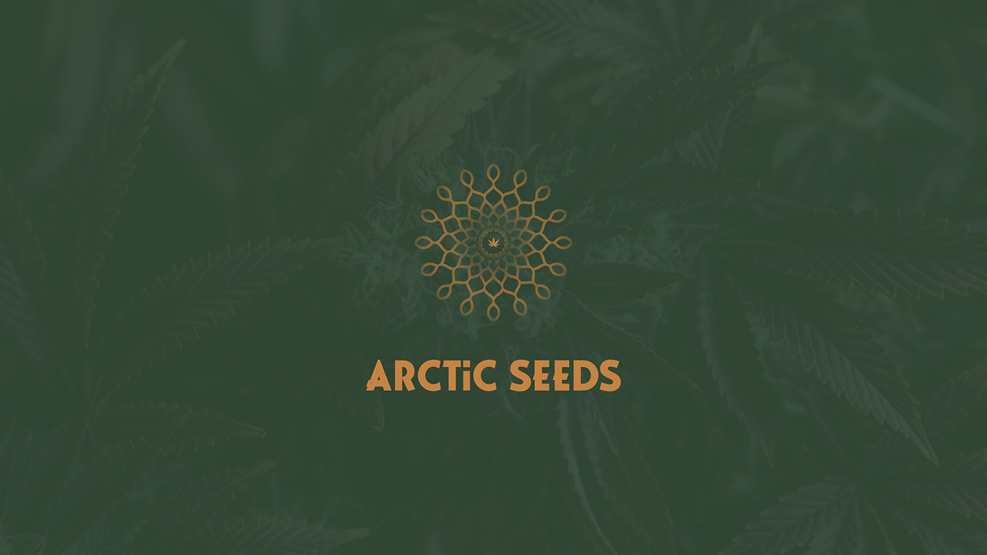 cannabis logo Logo Design marijuana Responsive web design responsive website visual identity Web Design  Webdesign weed