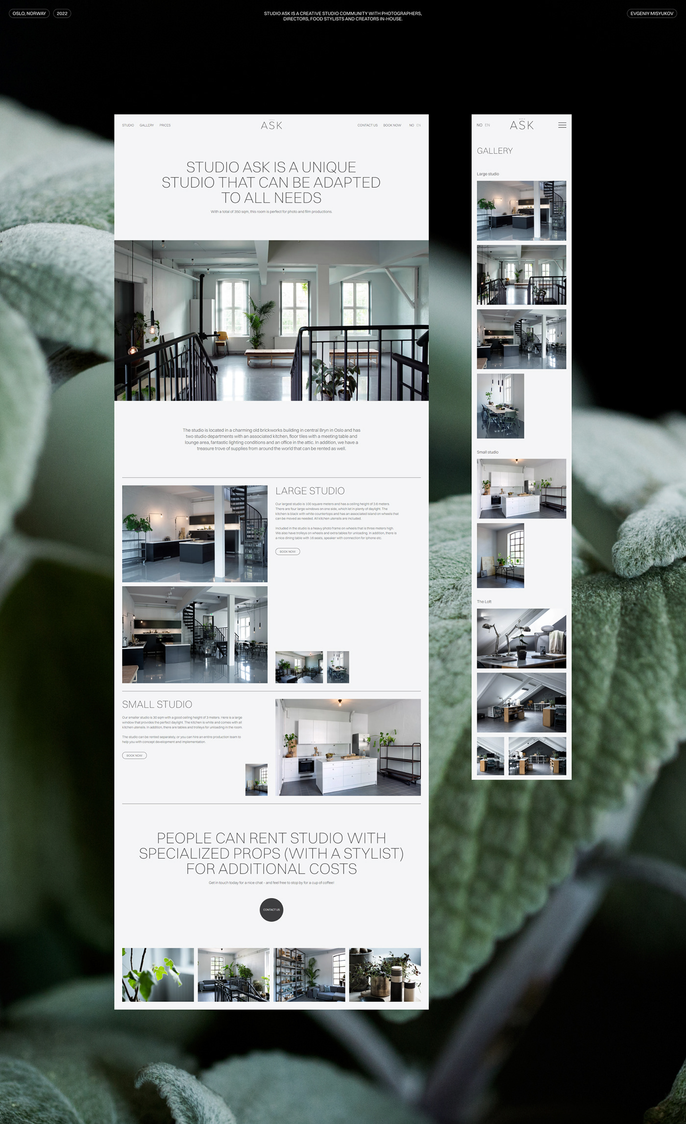Booking gallery Minimalism photo studio Web Webdesign Website Editor X wix studio