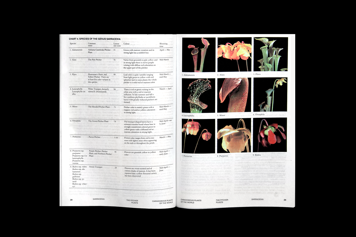 plants directory Encyclopedia book editorial adobeawards