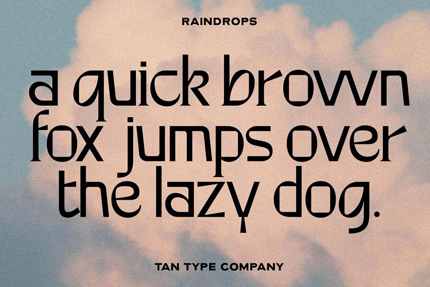 modern font display font funky font Modern Serif Unique Font  logo font branding font fun font Creative Font display serif