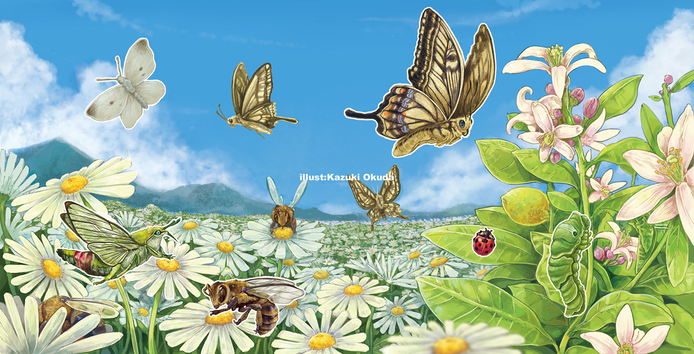 Bookdesign children design GoodsDesign illust ILLUSTRATION  insect kids stationnery sticker