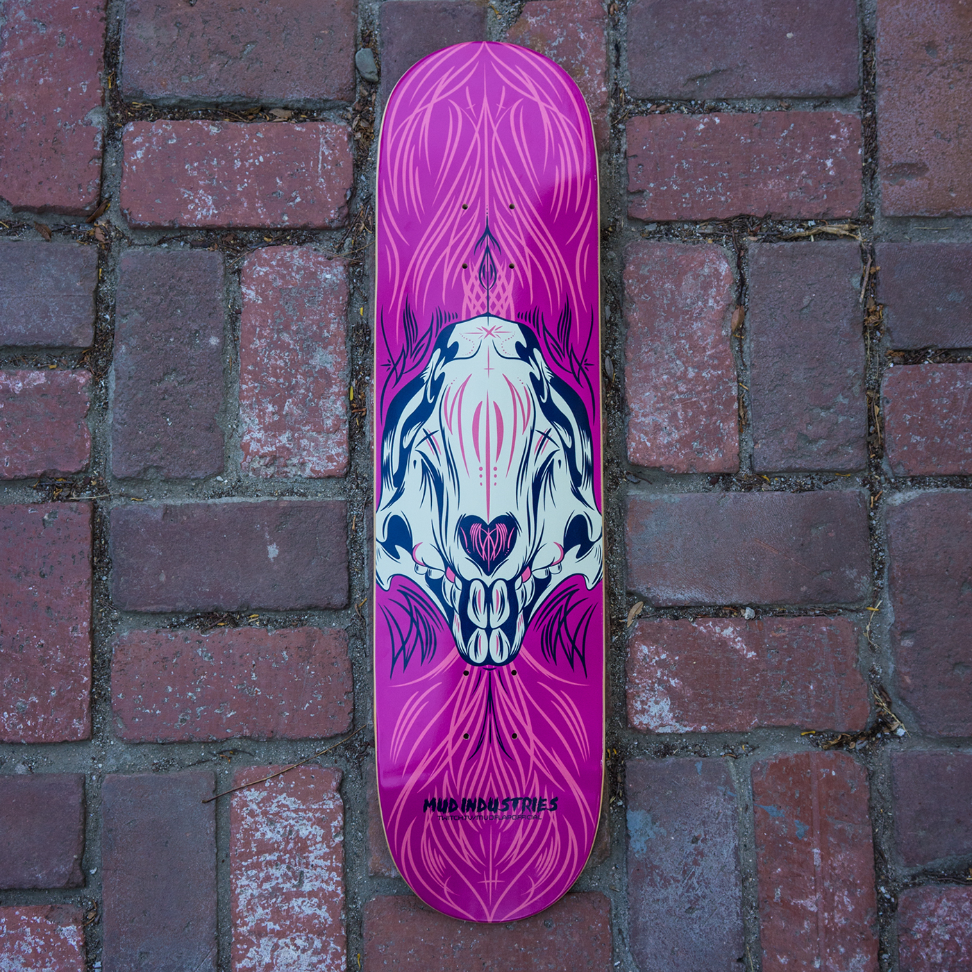 skatedeck skateboard design skate pinstriping skulls