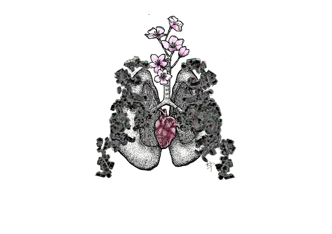 animation  art graphic heart ILLUSTRATION  ink lungs sakura aggregation anxiety