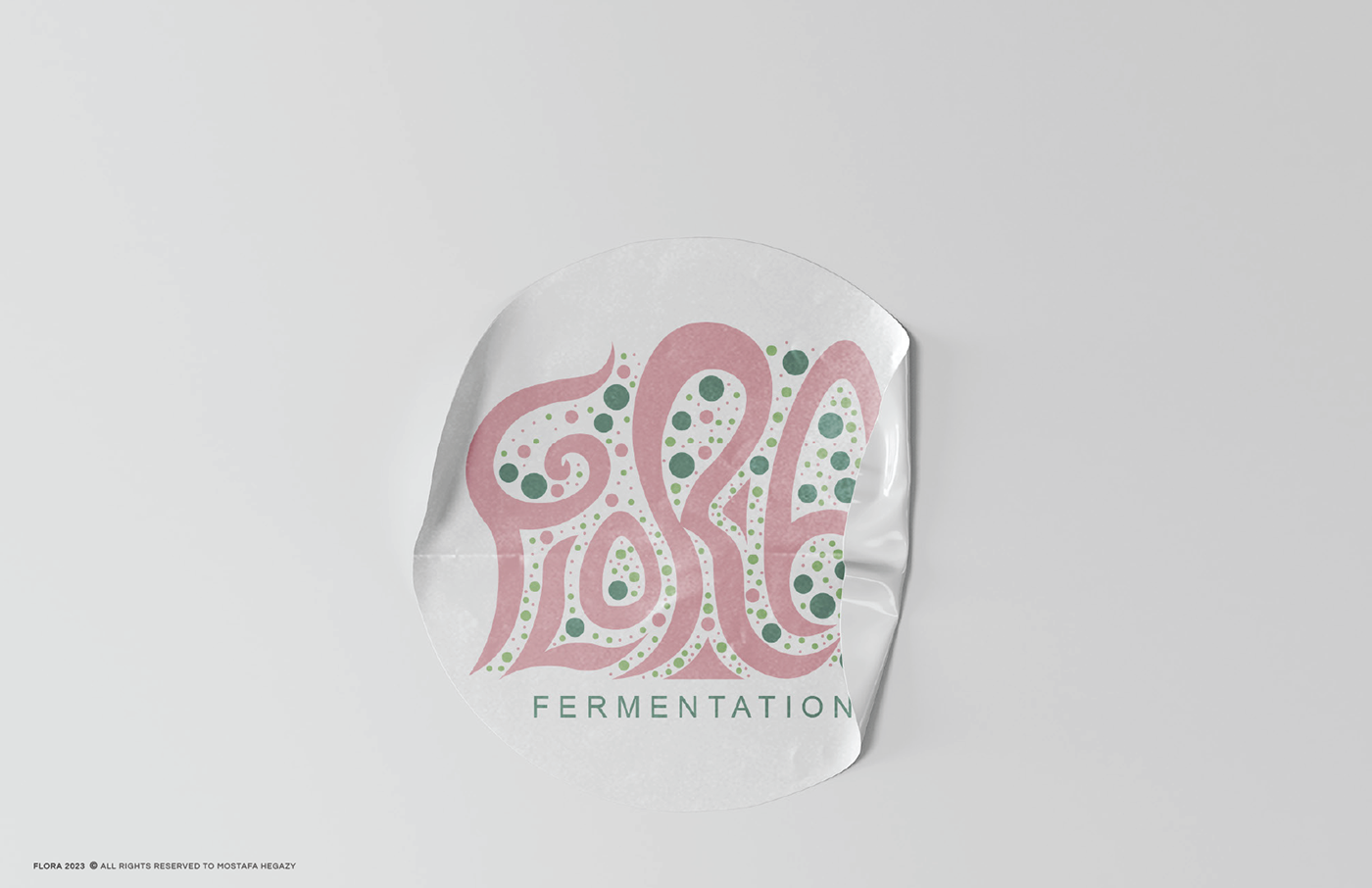 fermentation digestive Food  brand identity Packaging Logo Design visual identity green digestive health fermented foods
