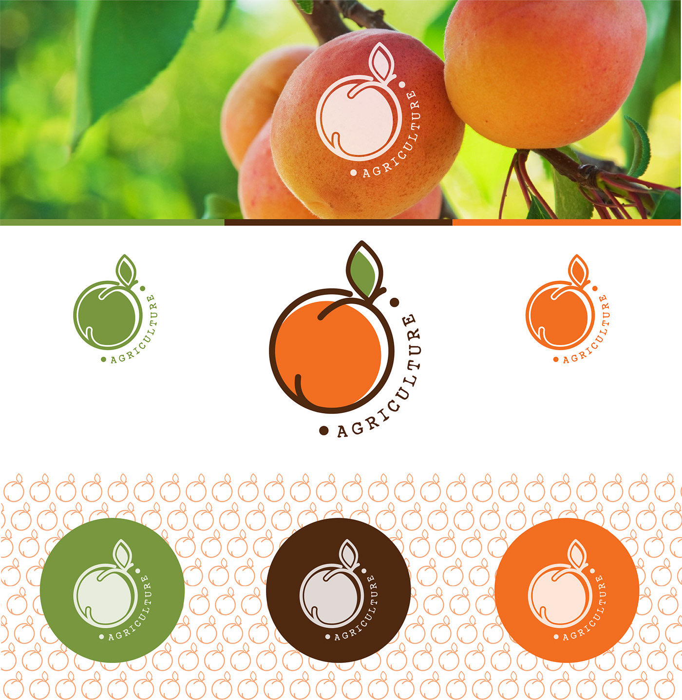 agriculture graphic design  logo logo concept Logo Design Logo time
