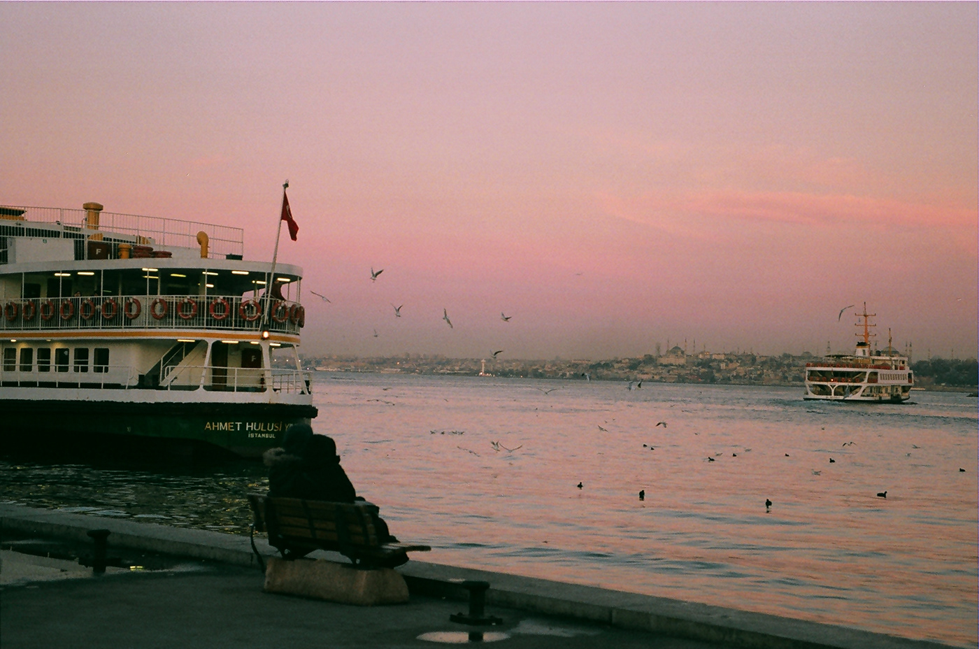 seagull Canon eos istanbul analog filmisnotdead keepfilmalive analogphotography   35mm