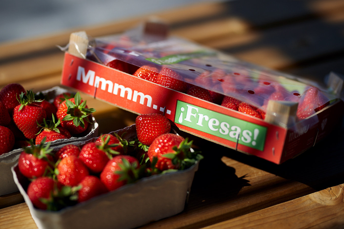 berries colors fruits identity natural strawberry Nature Packaging Sustainable typography  
