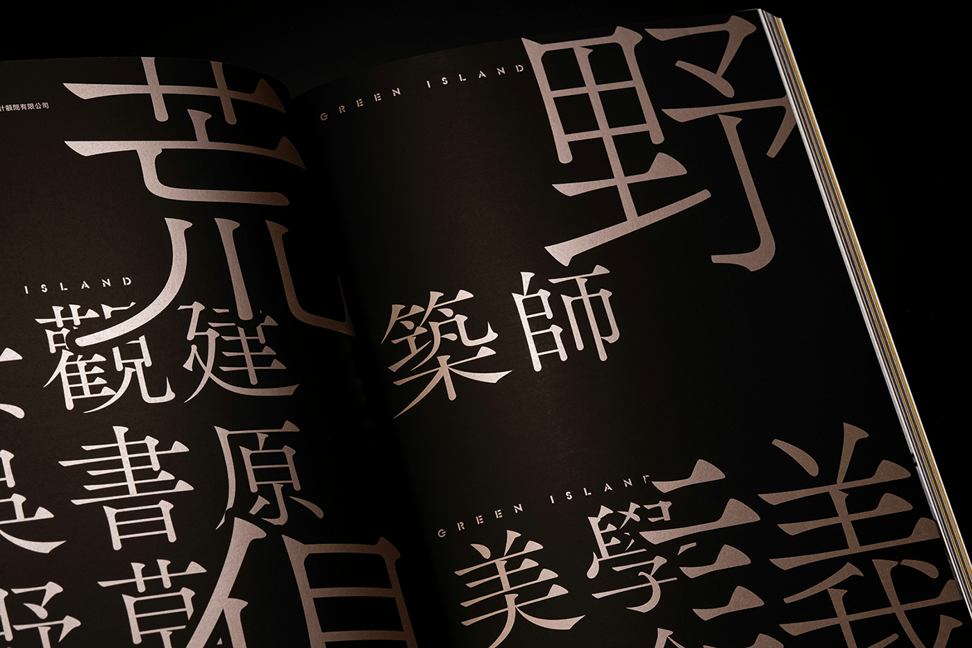 art direction  design designinspiration graphic design  graphics magazine Magazine design taiwan typographic typography  