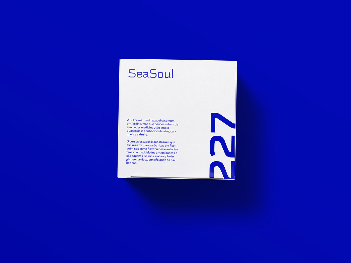 blue box brbauen Identity Design logo Packaging sea tea