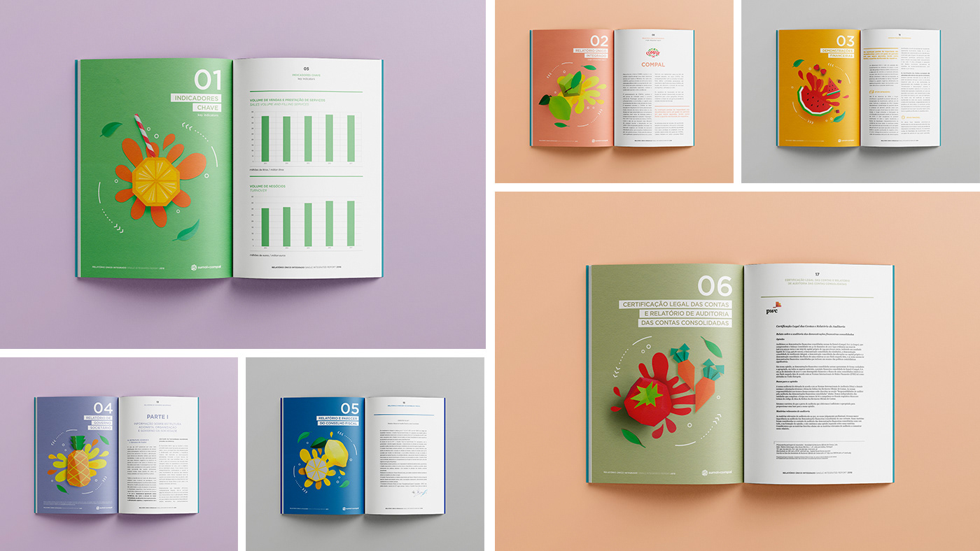 annual report art direction  book colour editorial Food  fruits papercraft Sustainability vegetables
