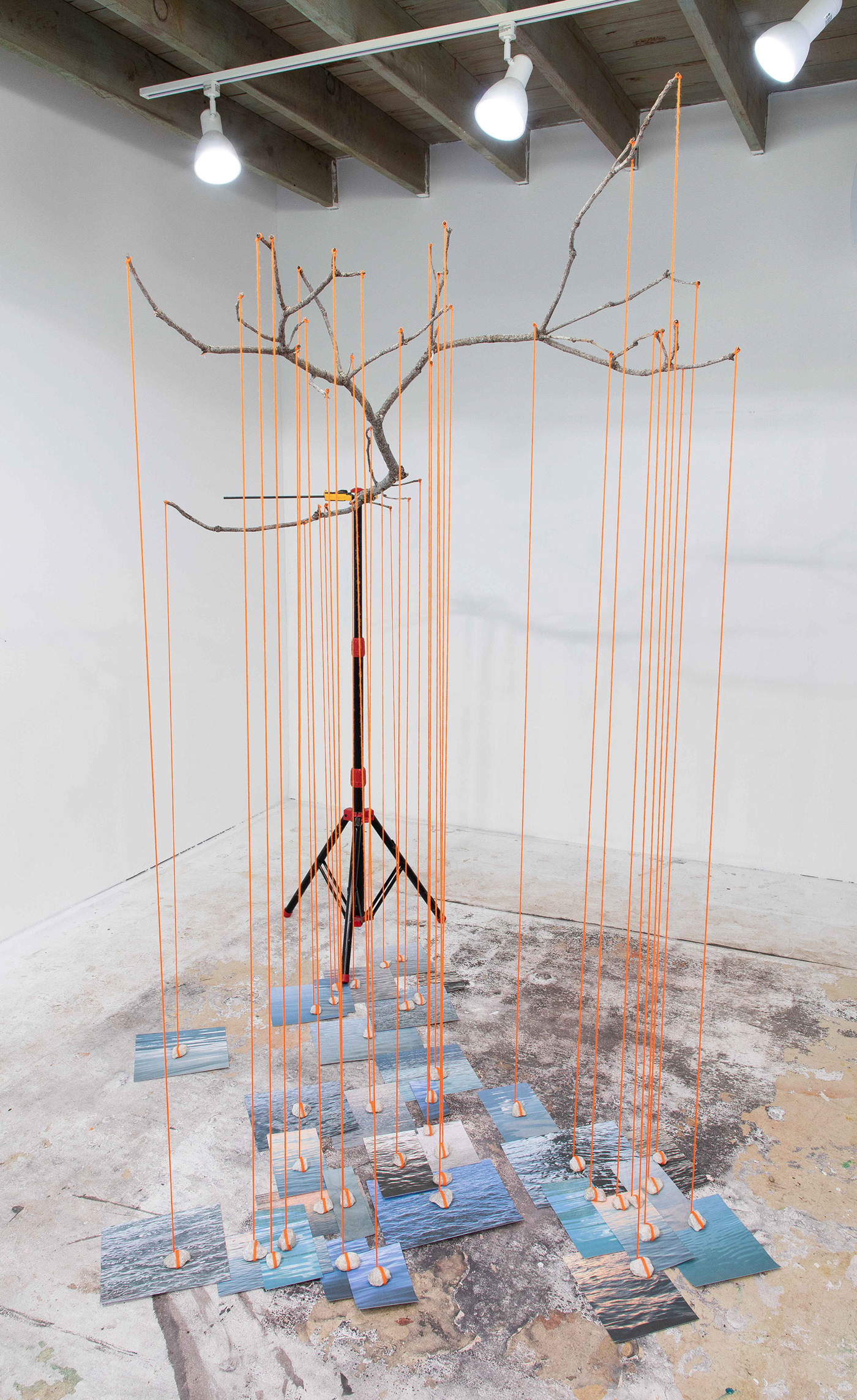 Duy Hoang fine art installation natural history Nature print sculpture texttile