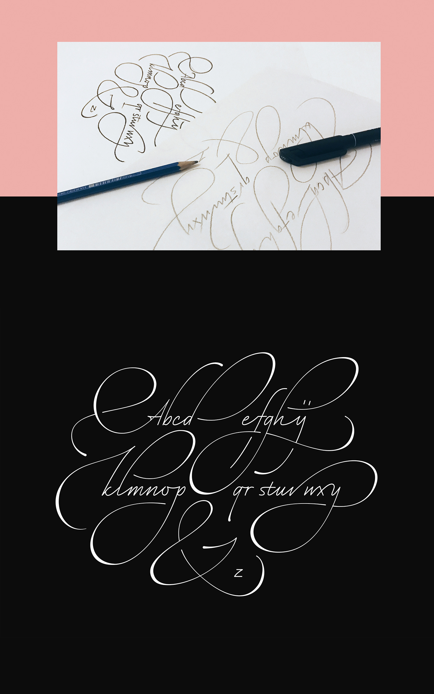 typography   Calligraphy   alphabet letters Handlettering lettering ILLUSTRATION  type art design