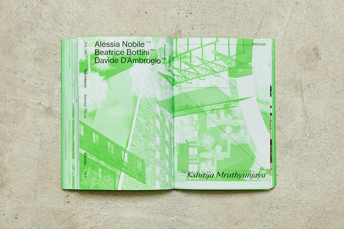 award book Catalogue design fluo naba neon pantone print typography  