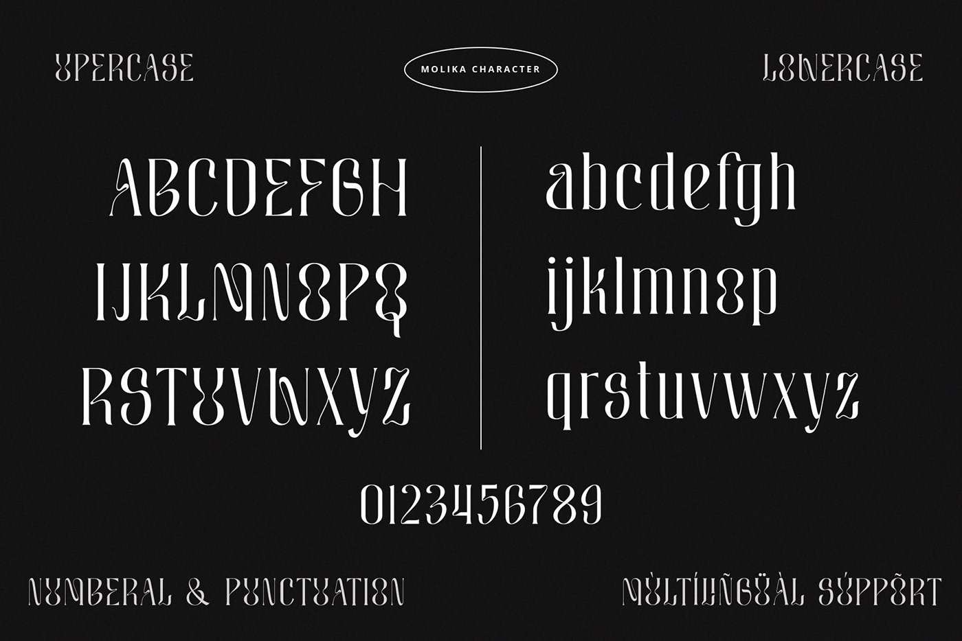 display font display serif elegant font font Free font modern font serif Serif Font Typeface typography  