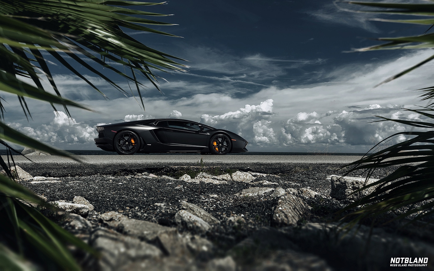 Matte Painting lamborghini Corvette Nissan cadillac concept stingray