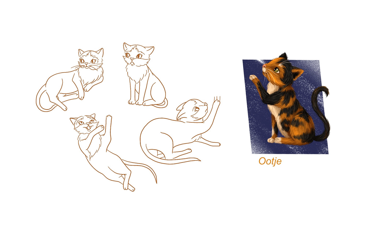 Sketches of the cat, character design
