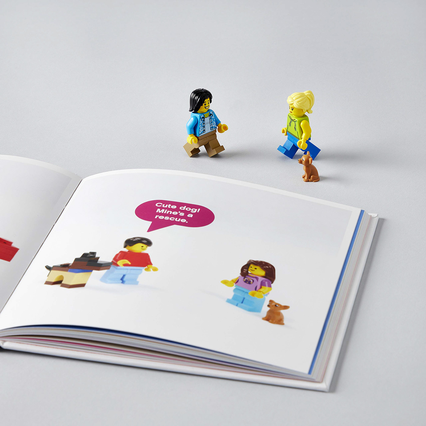 book Author LEGO publishing   comics humor Photography  humour book cover Books Design