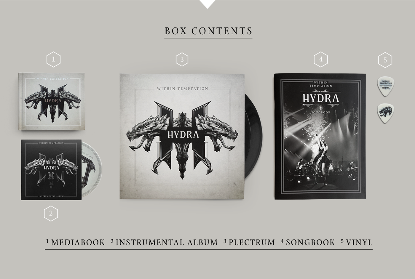 within temptation Album artwork dragon hydra goth rock