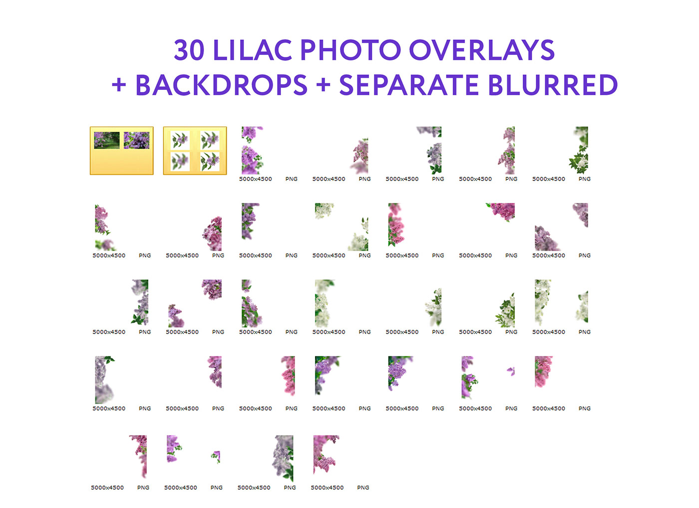 Digital Overlay  Flower Overlay flower photography Lilac Photo Overlays Overlays Flower photoshop overlay png overlays Summer Overlays tree branch Wedding Overlays