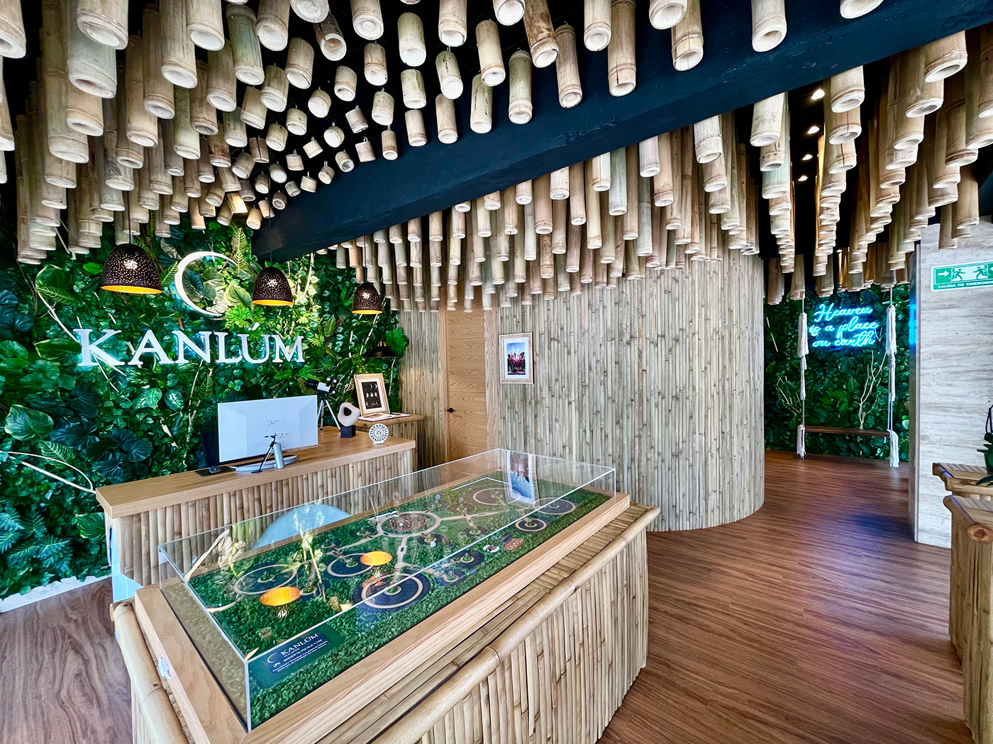 architecture bamboo ecotourism Grasshopper interior design  Office oficina parametric Rhino yucatán
