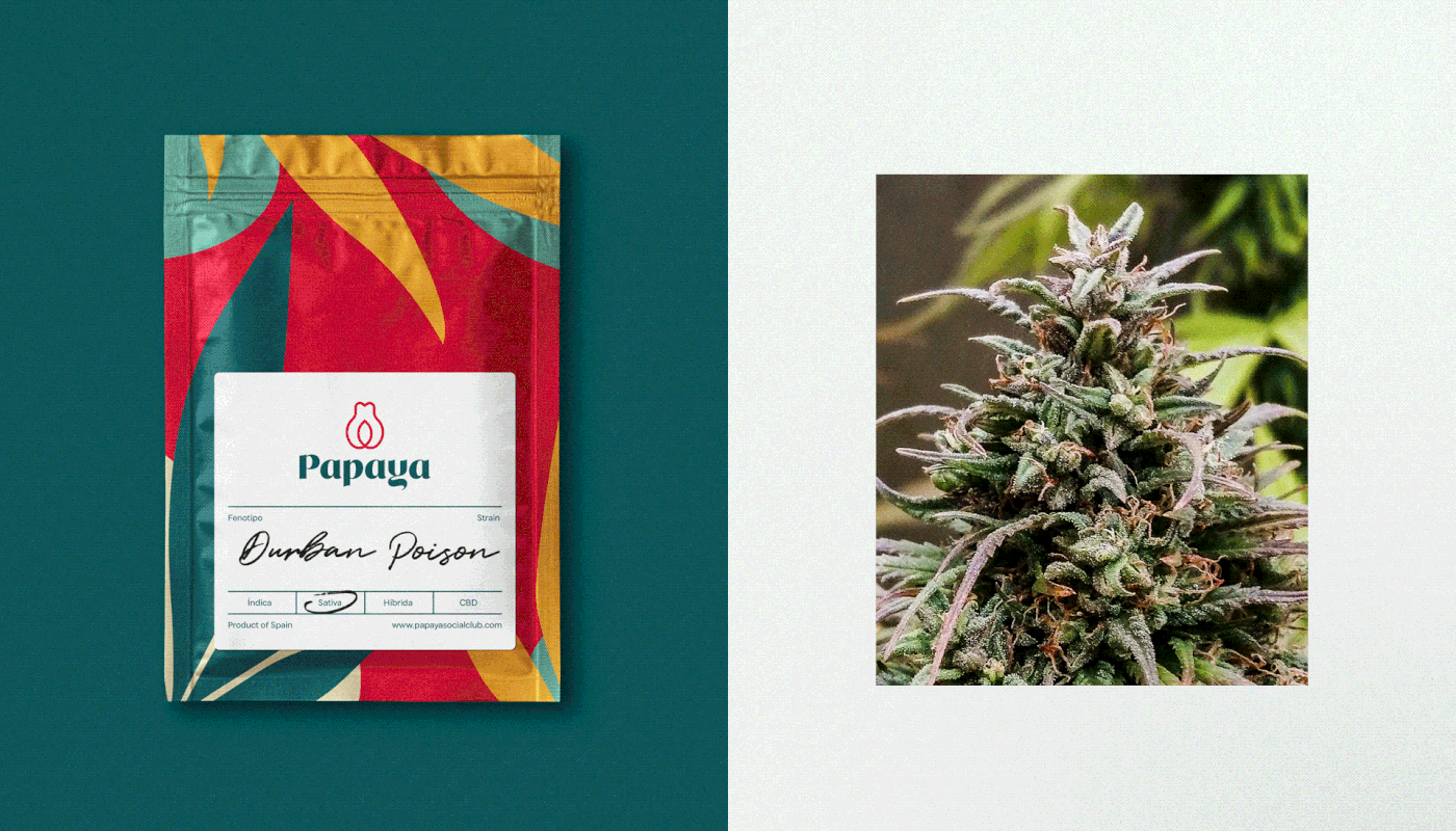brand identity branding  cannabis club Herb Packaging pattern restaurant smoking weed