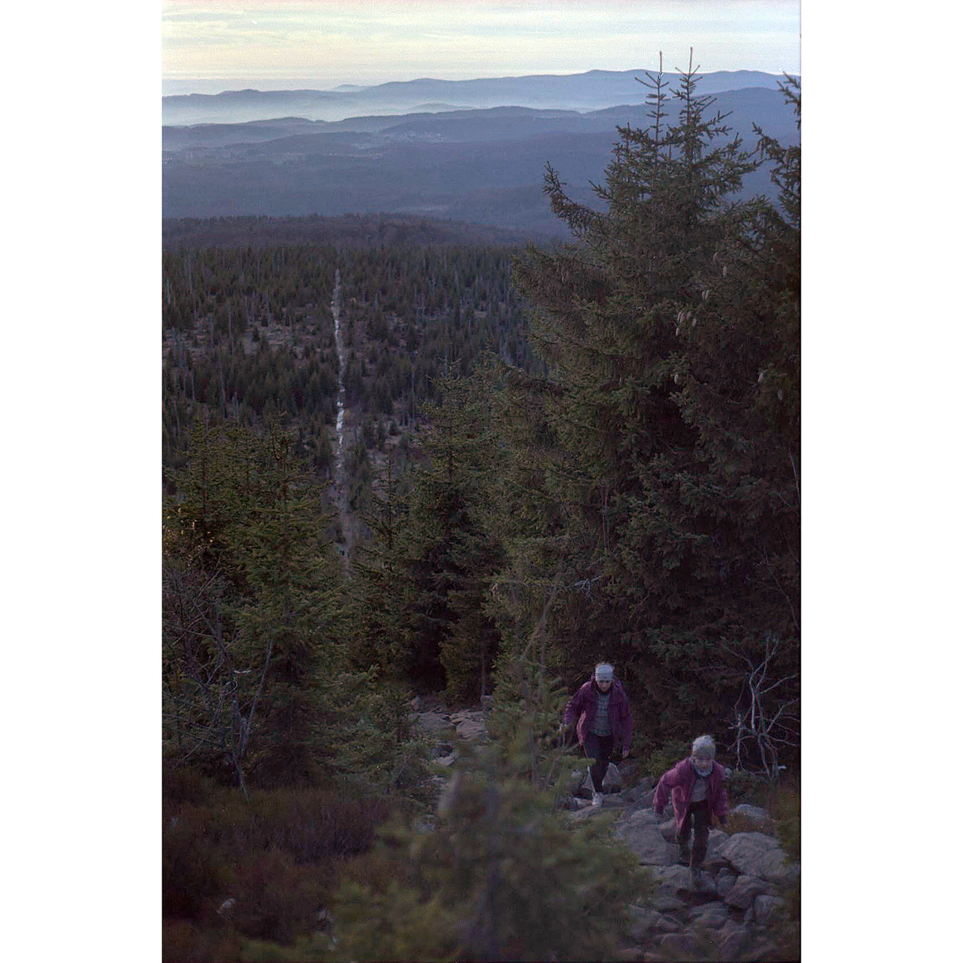 35mm Analogue bastiank Film   Hike lusen minolta mountain nationalpark Nature Outdoor x700