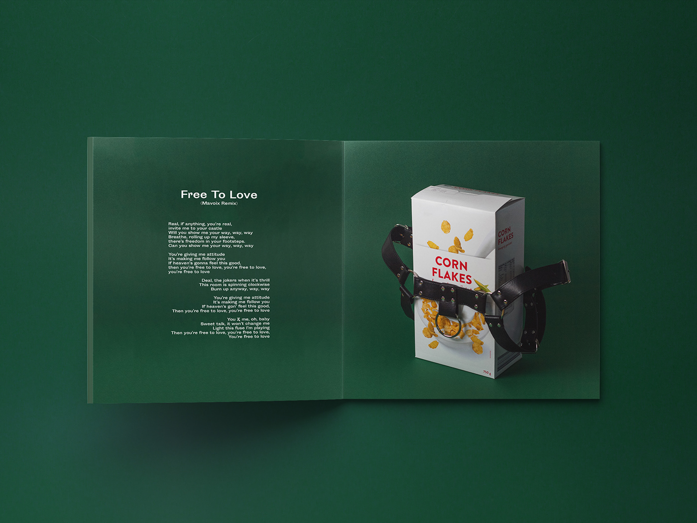 funbang1 album cover graphic design  brendan maclean gay bdsm Photography  Weissensee music pop