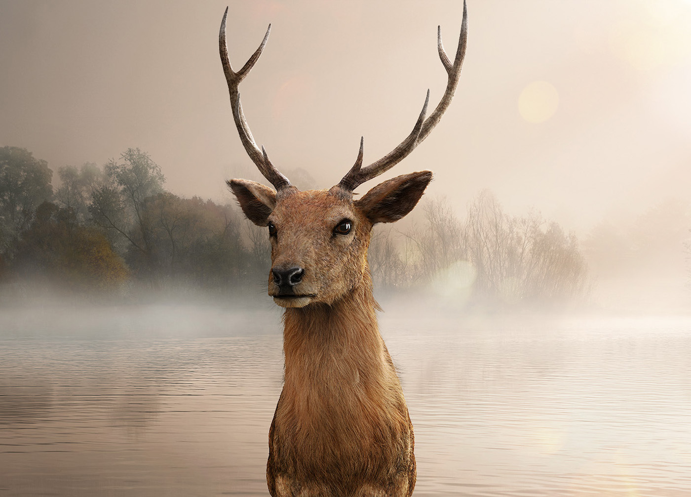 bear deer animals animal CGI 3D Mitsubish heads Fur photorealistic advertisement forest car accident