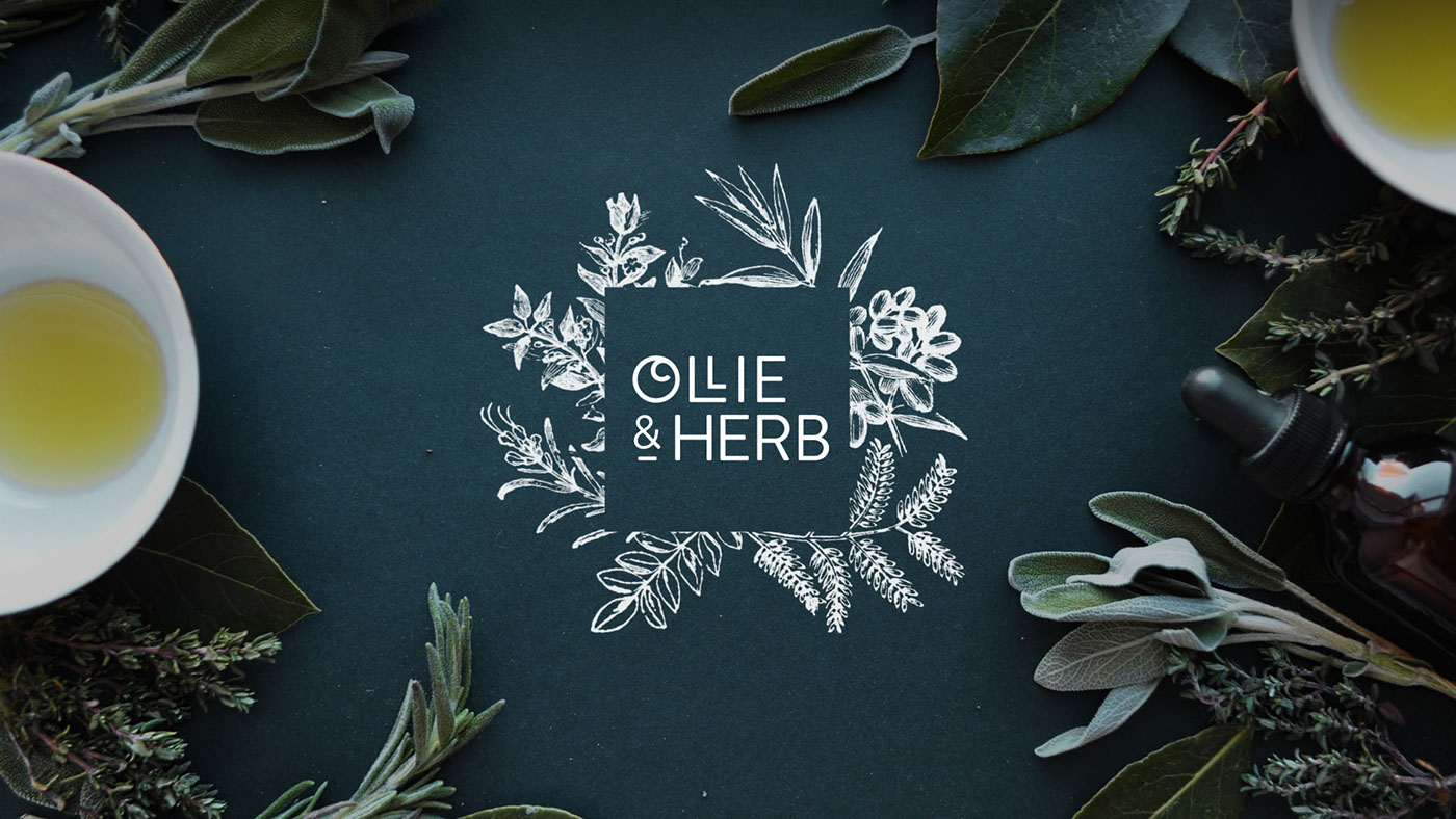 ollie & herb olive peppermint eucalyptus rosemary oil Herb plants subscription box