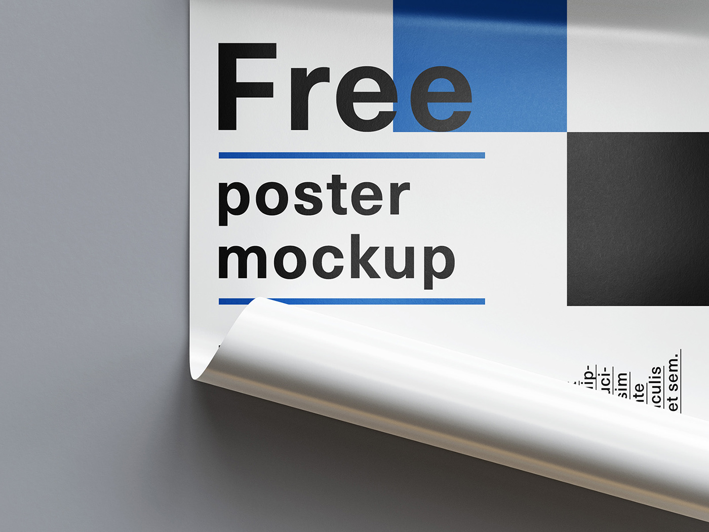 a2 b2 download free Mockup poster psd rolled template
