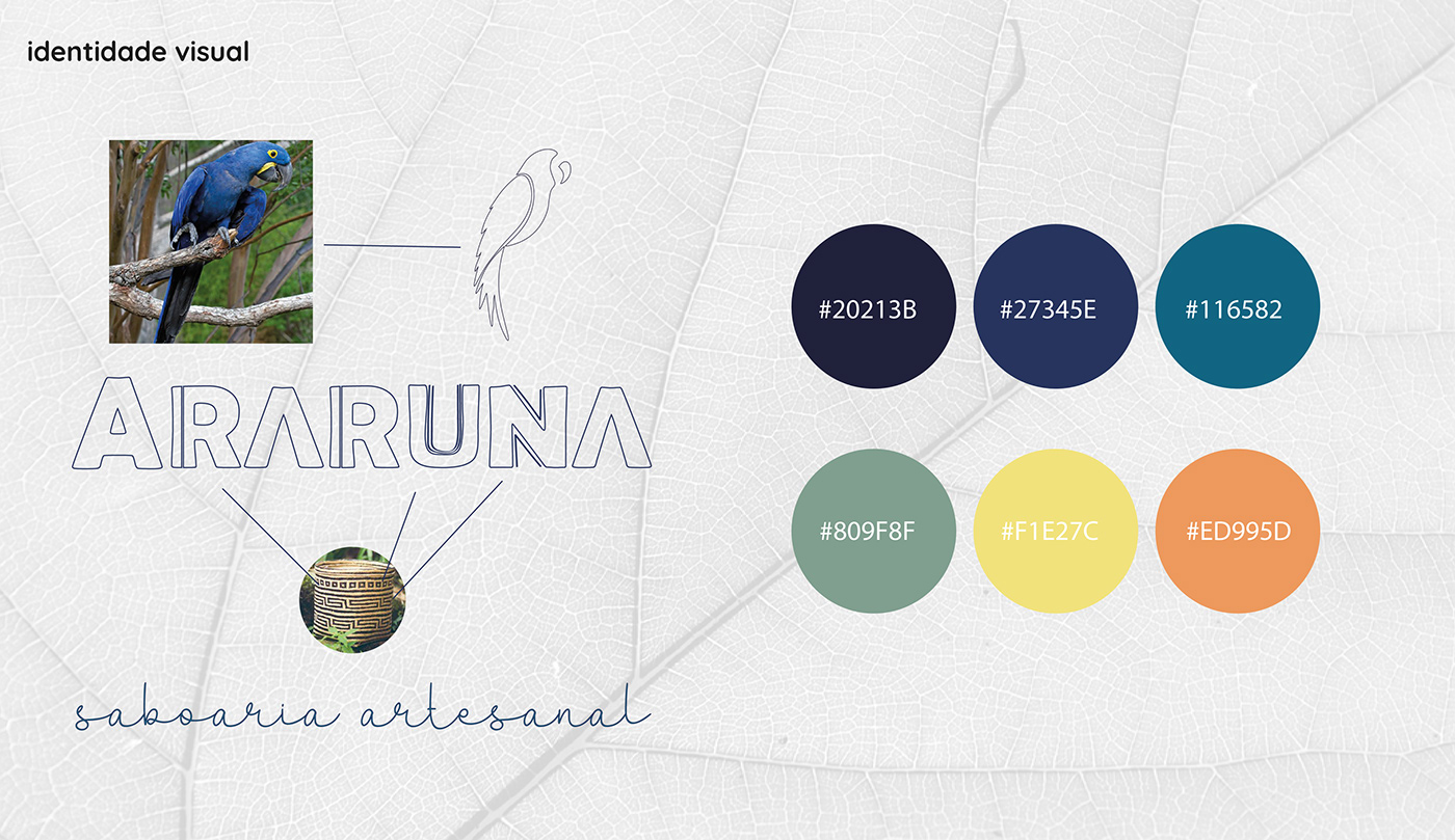 araruna branding  conceito design designgrafico draw identidadevisual ILLUSTRATION  tipografia édesigndosul
