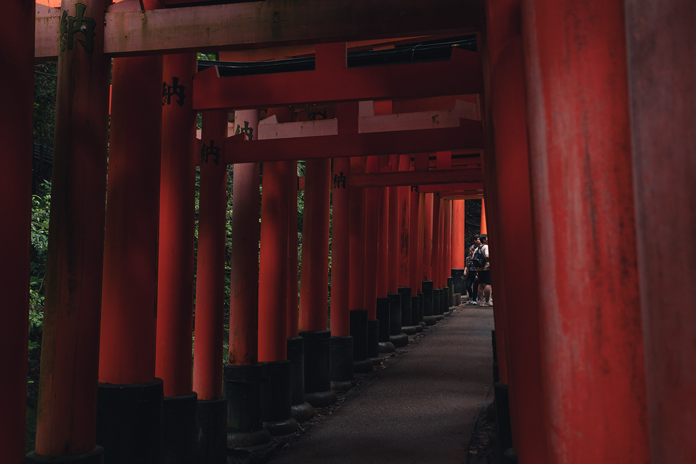 japan architecture Travel kyoto fujifilm lightroom Photography  Nature temple Nara