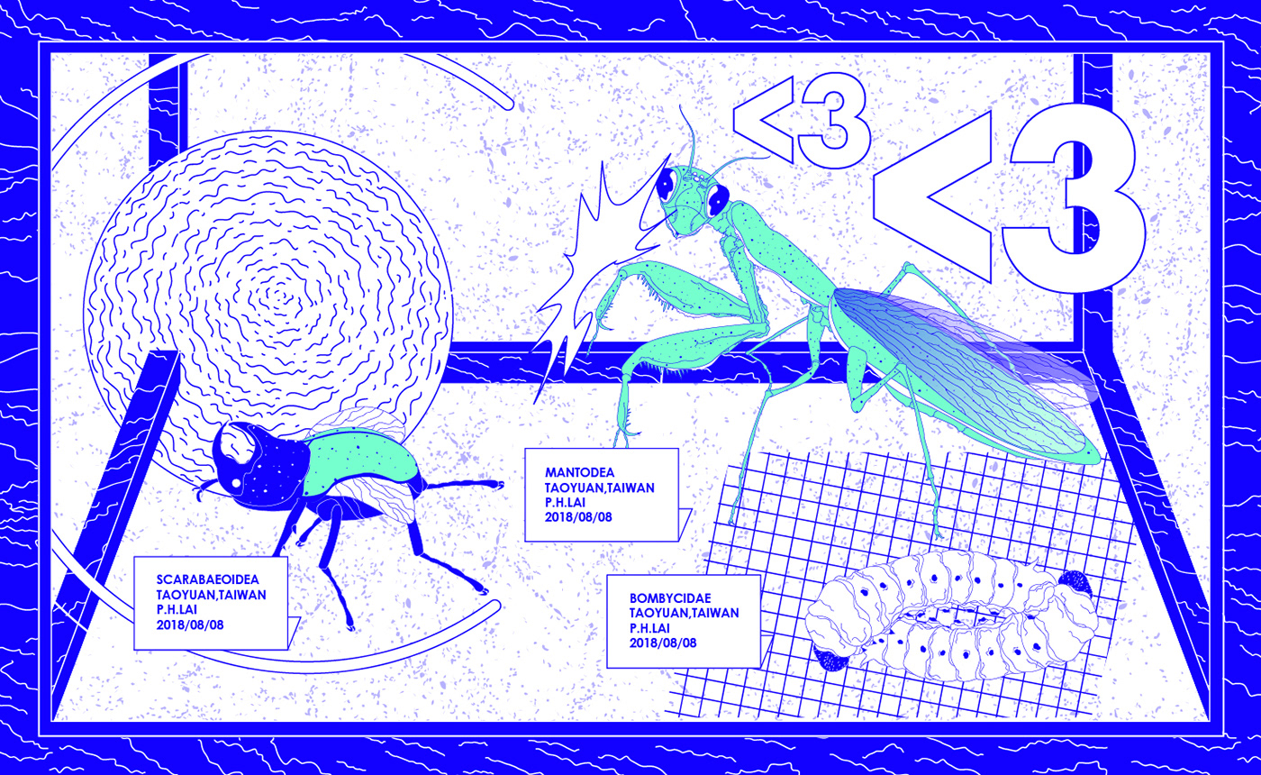 entomology bug insect graphic design  motion gif visual design