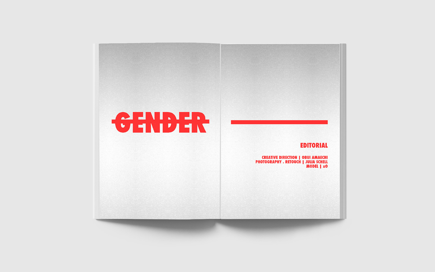 art direction  book copywriting  cover design Creative Direction  editorial design  Gender journal magazine print