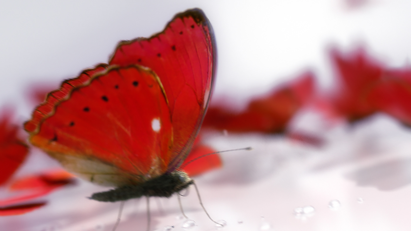 Ideal butterfly red glass