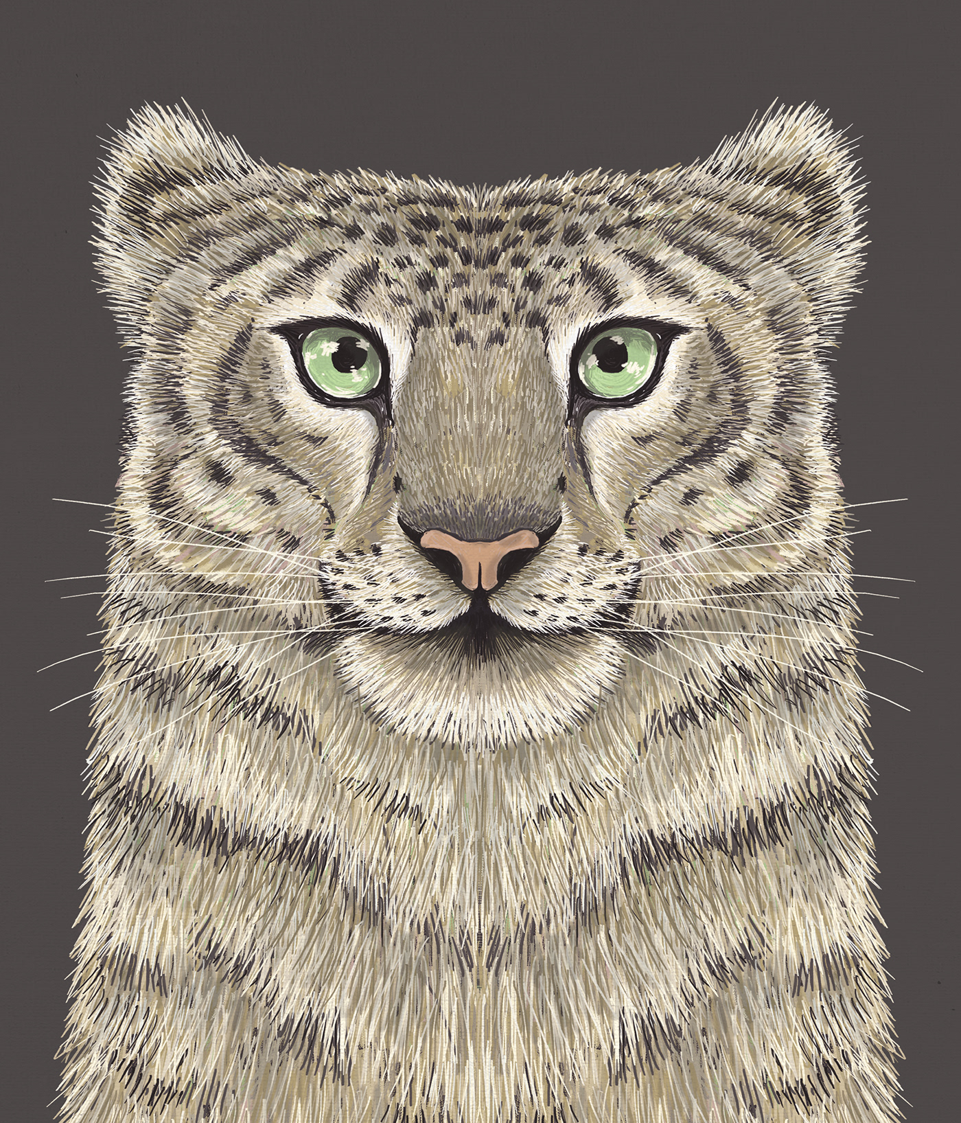 cheetah lion big cat Snow Leopard wildlife editorial digitalart artwork DigitalIllustration digitalpainting