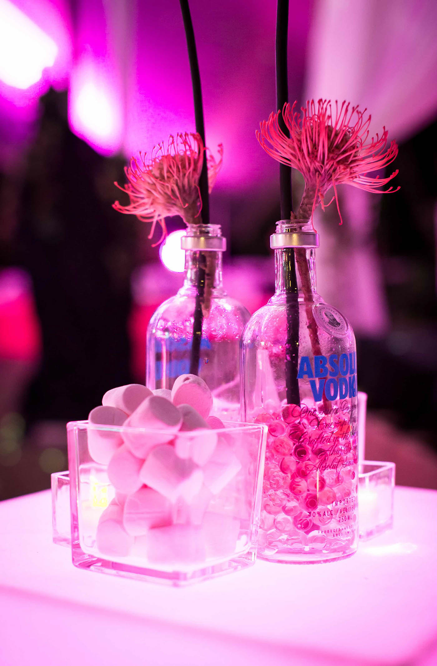 Absolut vodka party mozambique Event decor raspberry Flor Real