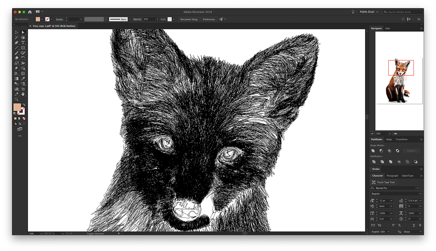 ILLUSTRATION  olbap olbapdesign olbap design adobefresco digitalart vector FOX zorro animal