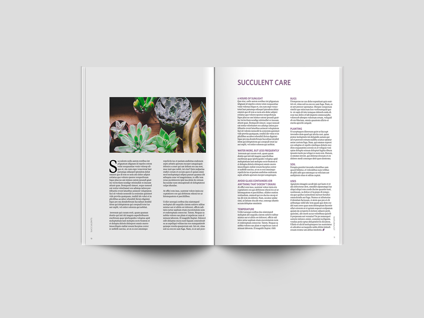 publication graphic design  editorial design  Photography  magazine magazine publication design adobeawards
