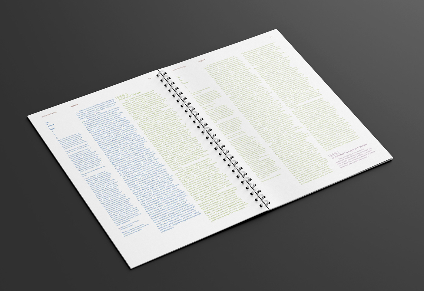 architecture editorial graphic design  Layout personal print typography   grid book Resume