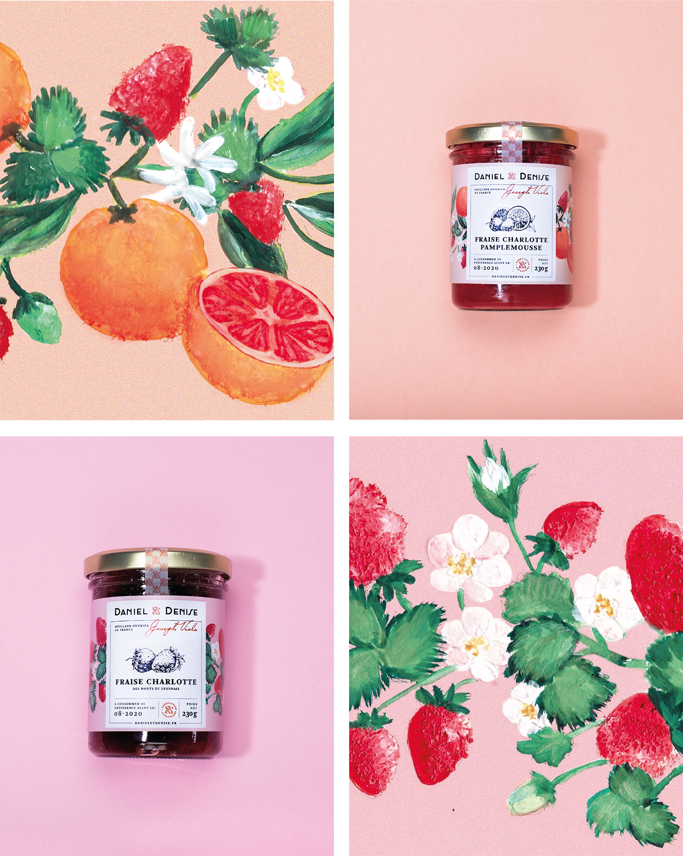 identity logo flower fruits foodpackaging   painting   lyon france redesign jam