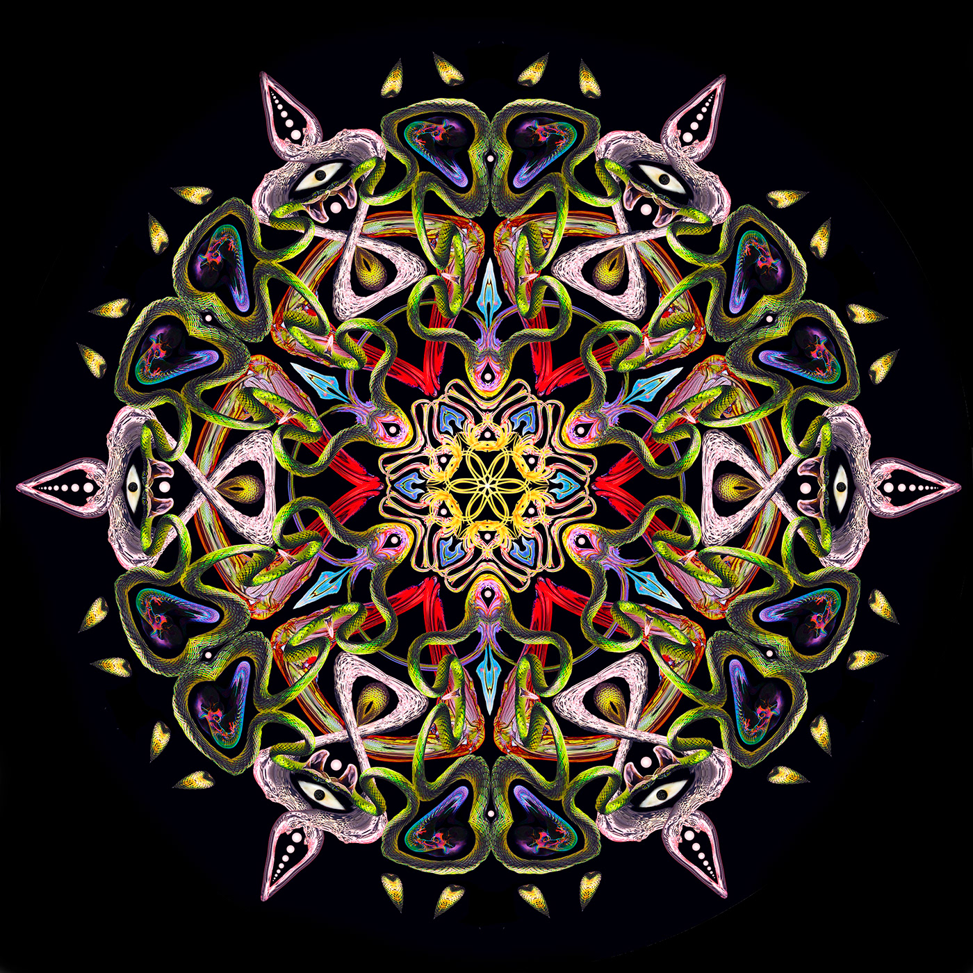 Mandala pattern Spiral psychedelic digital art yantra cosmos collage experimental