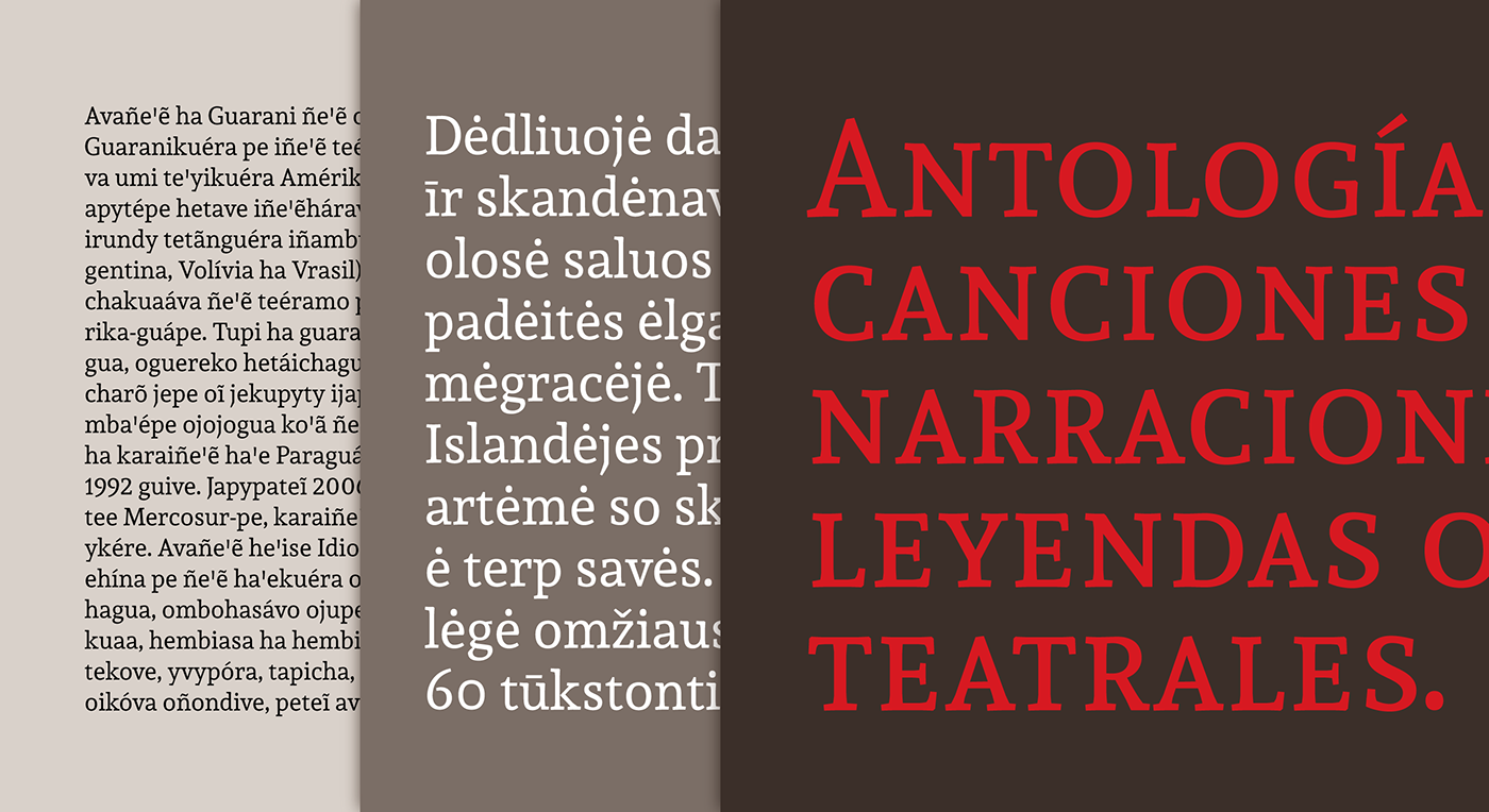 slab argentina text typography guarani SALTILLO originario puso typedesign typography  