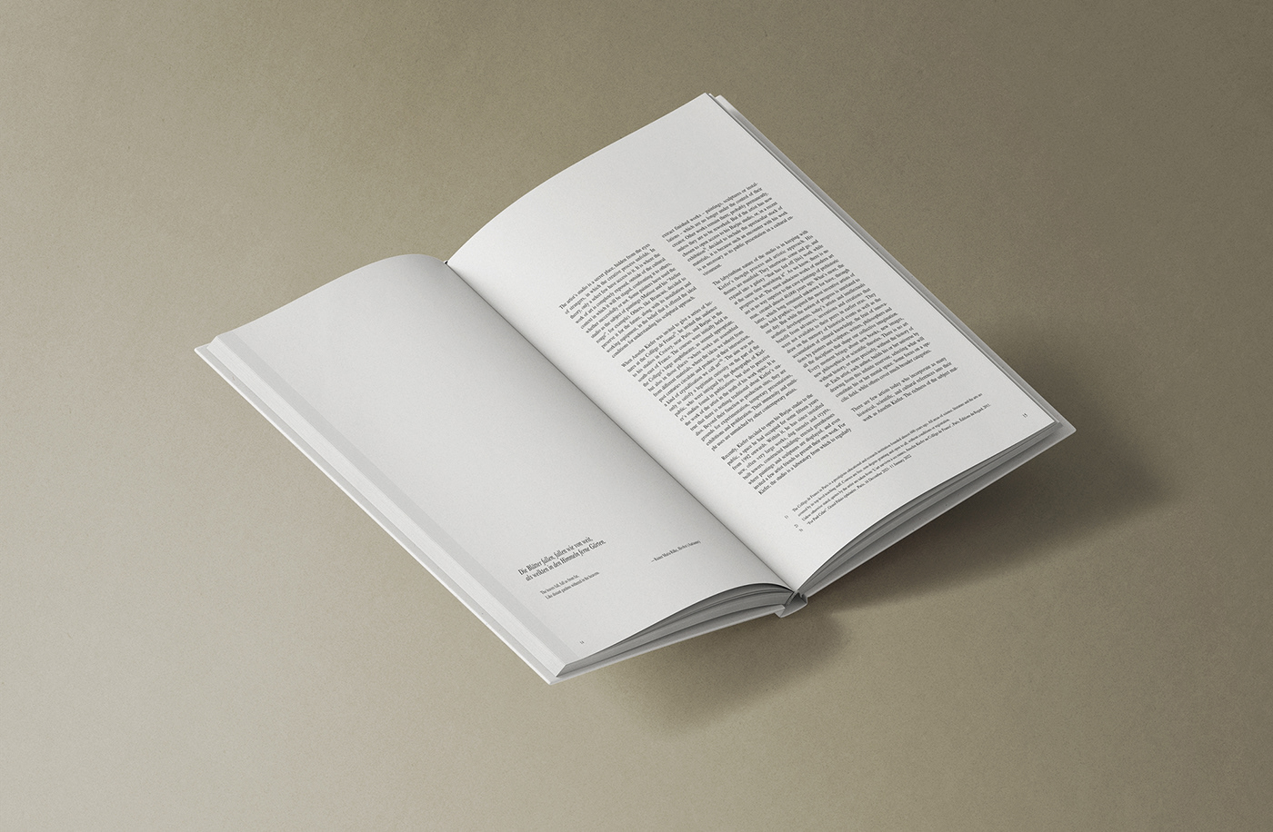 graphic design  graphic book book cover book design typography   publication