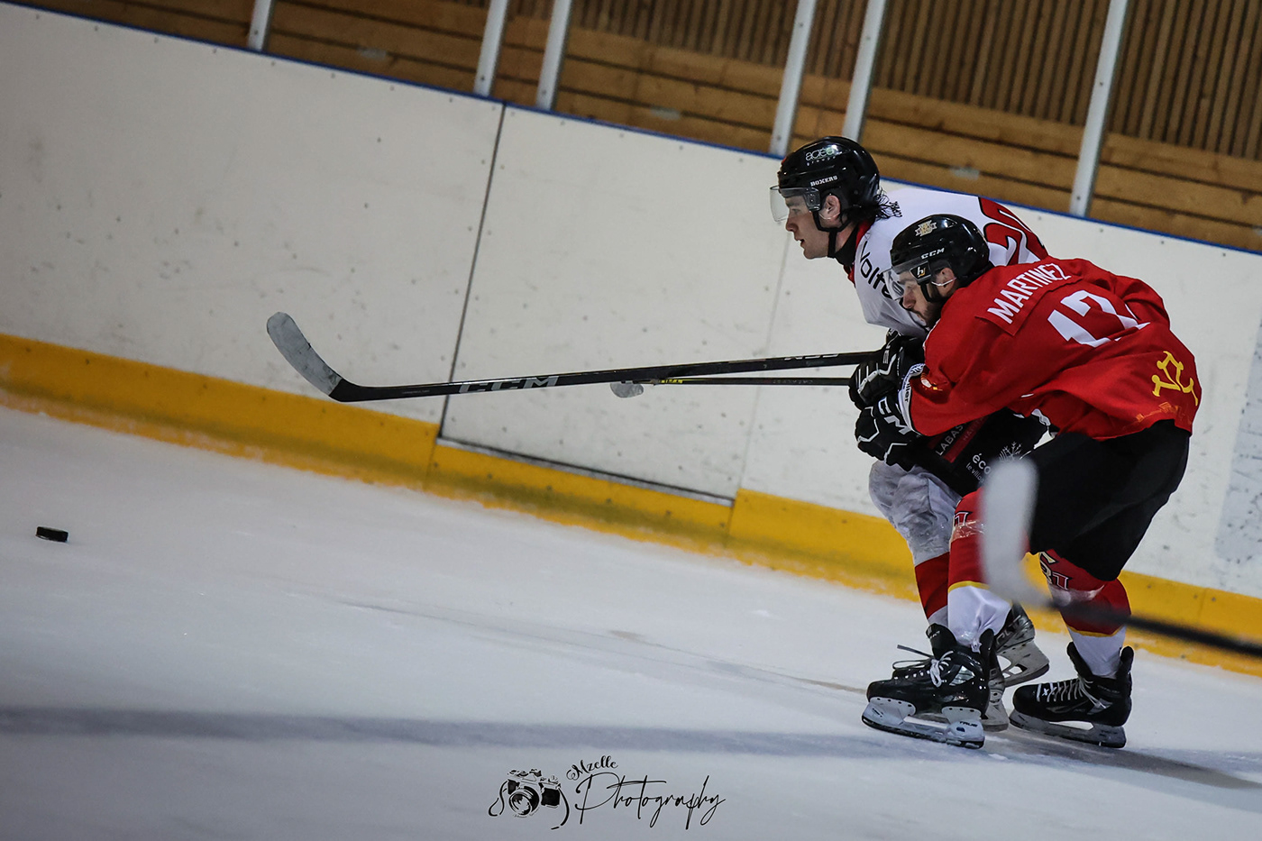 Bordeaux game hockey photographer Photography  photos shoot sport team toulouse