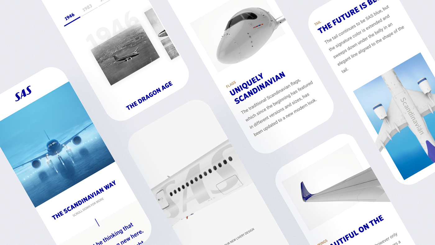 Advertising  Aeroplane Appdesign art direction  campaign flight plane sas UI Website