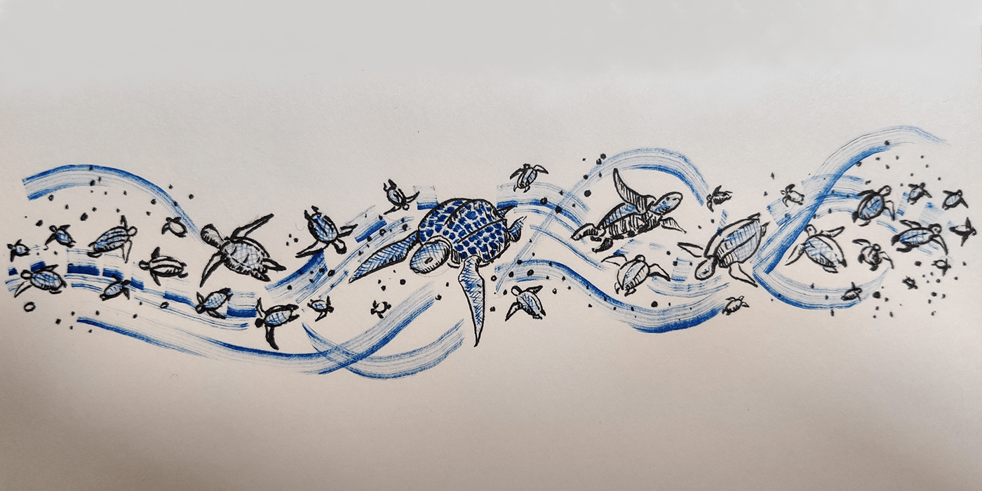 artwork blue Drawing  SeaTurtle sketch Turtles 