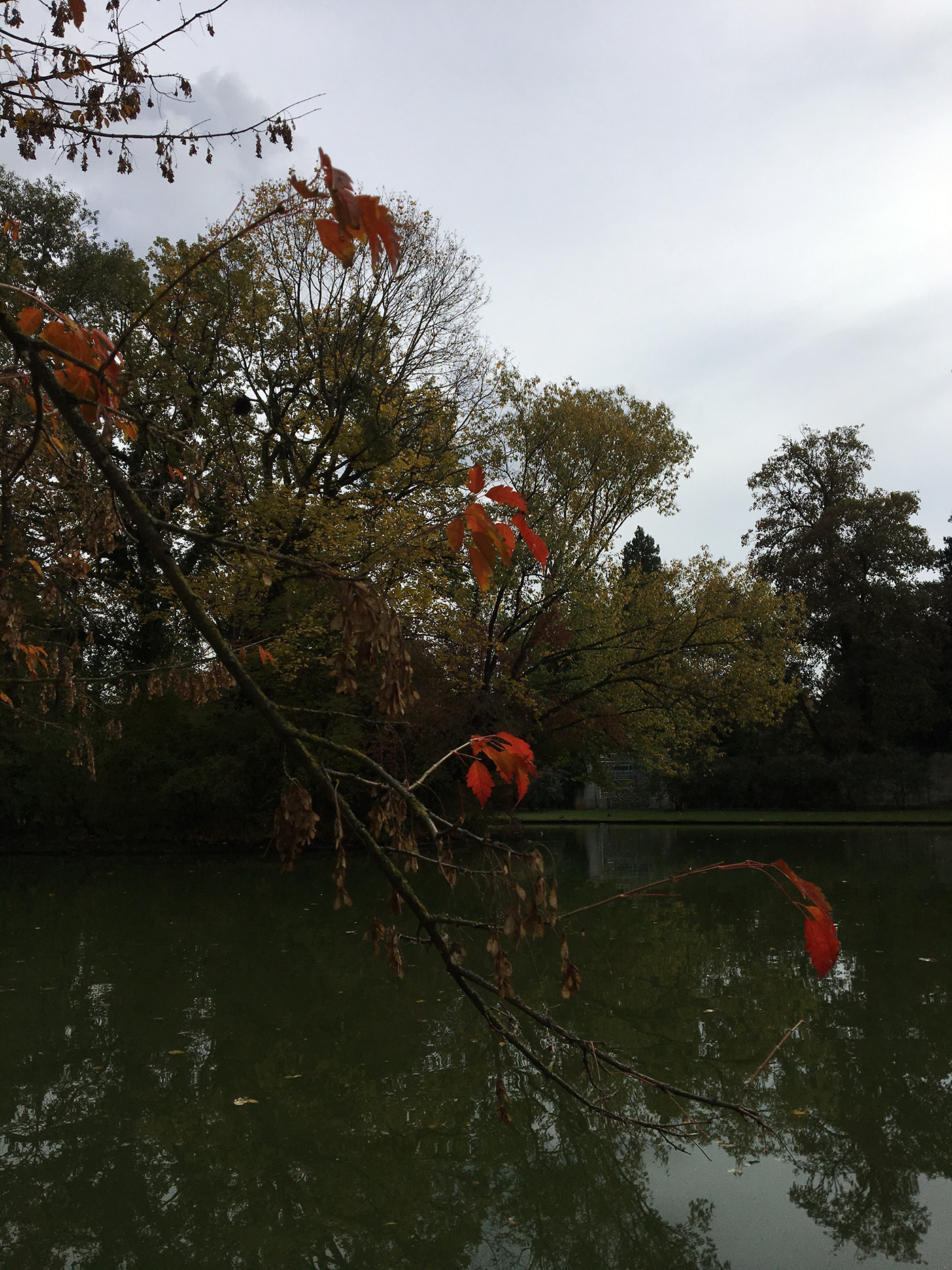iphone Nature autumn colors triste Behance inspiration adobe creative